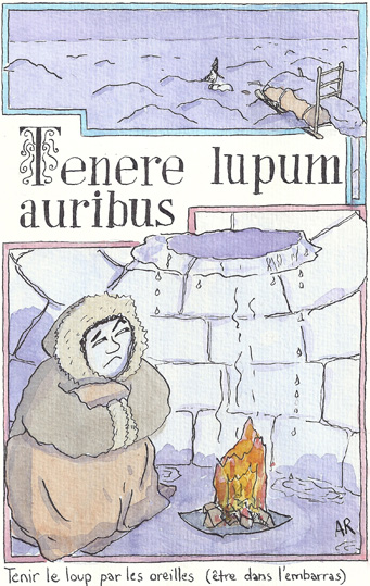 tenere lupum auribus